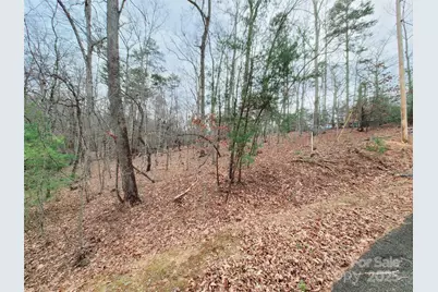 0 Birddog Boulevard #328, Lake Lure, NC 28746 - Photo 20