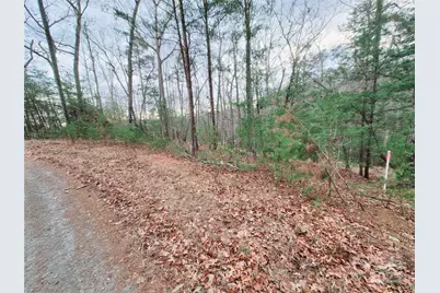 0 Birddog Boulevard #328, Lake Lure, NC 28746 - Photo 16