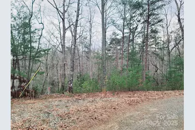 0 Birddog Boulevard #328, Lake Lure, NC 28746 - Photo 18