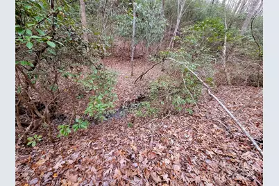 0 Birddog Boulevard #328, Lake Lure, NC 28746 - Photo 8