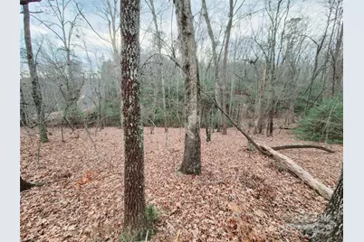 0 Birddog Boulevard #328, Lake Lure, NC 28746 - Photo 10