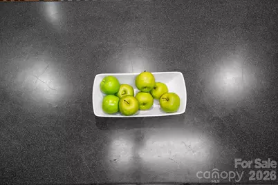 3910 6th Street NW, Hickory, NC 28601 - Photo 14