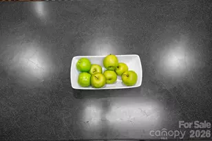 3910 6th St NW, Hickory, NC 28601 - Photo 14