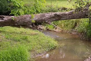 440 Island Ford Rd, Brevard, NC 28712 - Photo 46