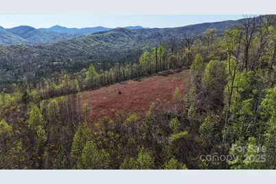 0 Cove Road, Union Mills, NC 28167 - Photo 4