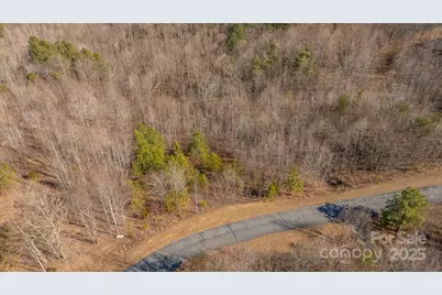 Tbd Coal Pit Mountain Road, Nebo, NC 28761 - Photo 12