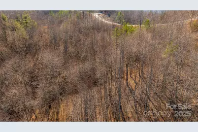 Tbd Coal Pit Mountain Road, Nebo, NC 28761 - Photo 6