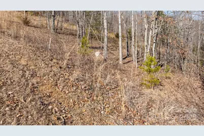 Tbd Coal Pit Mountain Road, Nebo, NC 28761 - Photo 16