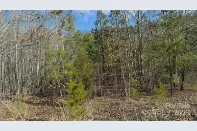 Tbd Coal Pit Mountain Road, Nebo, NC 28761 - Photo 18