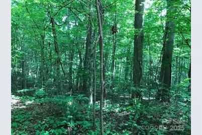 00 Red Oak Lane N Lot #24, Burnsville, NC 28714 - Photo 8