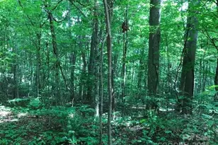 00 Red Oak Ln N, Burnsville, NC 28714 - Photo 8