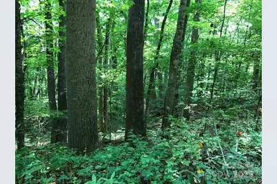 00 Red Oak Lane N Lot #24, Burnsville, NC 28714 - Photo 6