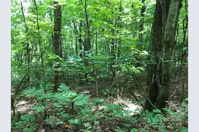 00 Red Oak Lane N Lot #24, Burnsville, NC 28714 - Photo 4