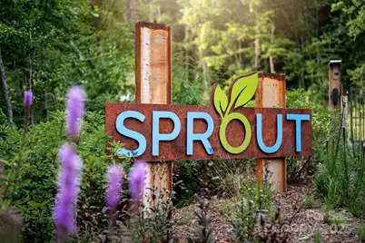 0000 West Garden Trail #Lot 70, Hendersonville, NC 28792 - Photo 6