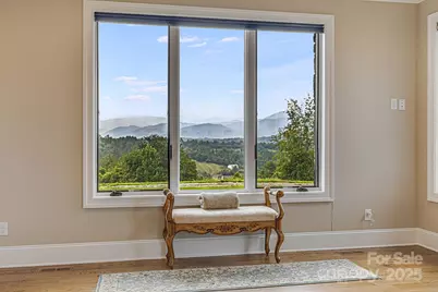 360 Turkey Branch Road, Mars Hill, NC 28754 - Photo 20