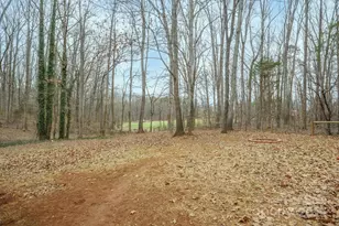 161 Moore Haven Dr, Salisbury, NC 28147 - Photo 38