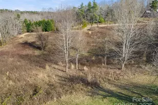 255 & 257 Crescent St, Saluda, NC 28773 - Photo 2