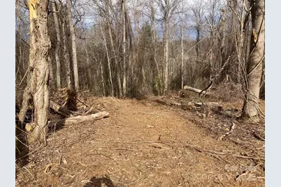 1638 Continental Divide Road #1, Flat Rock, NC 28731 - Photo 2