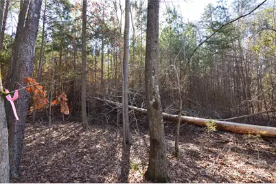 5036 Hermitage Court #211, Belmont, NC 28012 - Photo 6