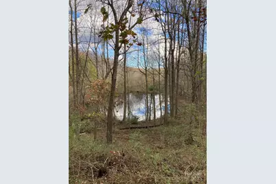 1638 Continental Divide Drive #2, Flat Rock, NC 28731 - Photo 8