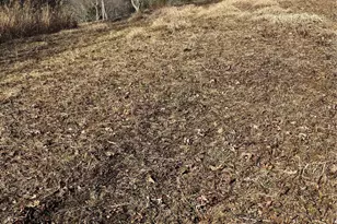 1820 Grapevine Rd, Marshall, NC 28753 - Photo 28