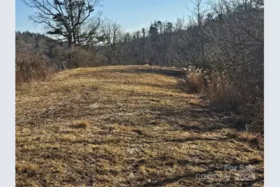 1820 Grapevine Road, Marshall, NC 28753 - Photo 2