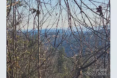 1820 Grapevine Road, Marshall, NC 28753 - Photo 1