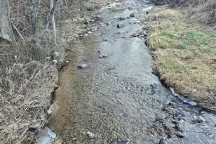 1820 Grapevine Rd, Marshall, NC 28753 - Photo 40