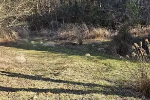 1820 Grapevine Rd, Marshall, NC 28753 - Photo 26