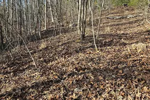 1820 Grapevine Rd, Marshall, NC 28753 - Photo 30