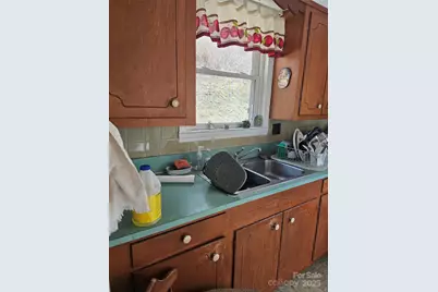 1820 Grapevine Road, Marshall, NC 28753 - Photo 10