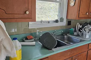 1820 Grapevine Rd, Marshall, NC 28753 - Photo 10