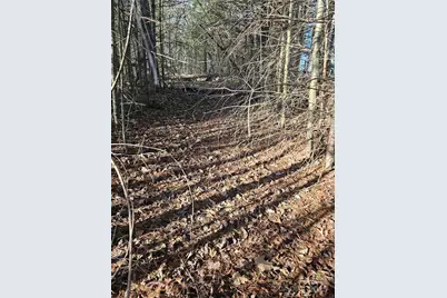 1820 Grapevine Road, Marshall, NC 28753 - Photo 32