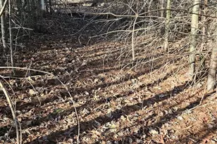 1820 Grapevine Rd, Marshall, NC 28753 - Photo 32