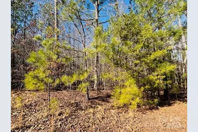 0 Creekside Circle #110, Rutherfordton, NC 28139 - Photo 4