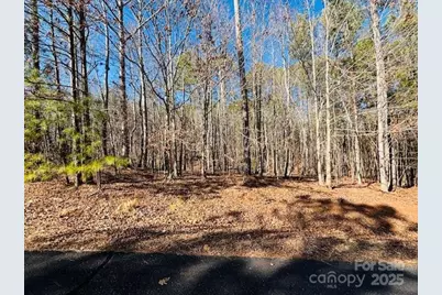 0 Creekside Circle #110, Rutherfordton, NC 28139 - Photo 2