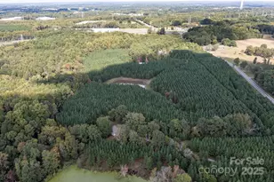 11001 Mount Holly Hntrsvlle Rd, Huntersville, NC 28078 - Photo 8