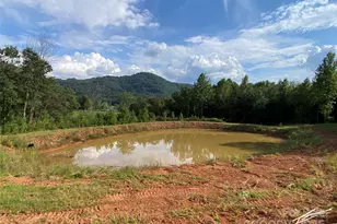 1180 Calton Rd, Bostic, NC 28018 - Photo 36