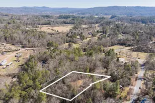 35 Ahava Rd, Pisgah Forest, NC 28768 - Photo 20