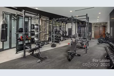 2010 N Brevard Street #B3, Charlotte, NC 28203 - Photo 12