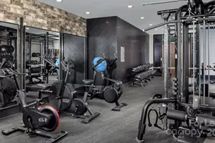 2010 N Brevard St, Charlotte, NC 28203 - Photo 12