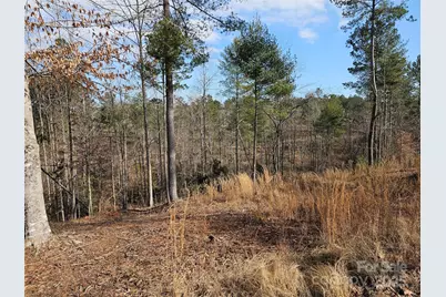 3318 Pyramid Peak Trail #212, Connelly Springs, NC 28612 - Photo 6