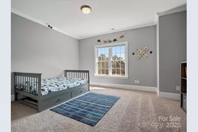 2553 Cozy Cove Drive, York, SC 29745 - Photo 20