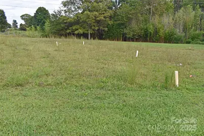 3624 Hickory Lincolnton Highway, Newton, NC 28658 - Photo 4