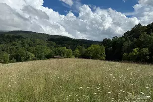 132 Hurd Rd, Canton, NC 28716 - Photo 8