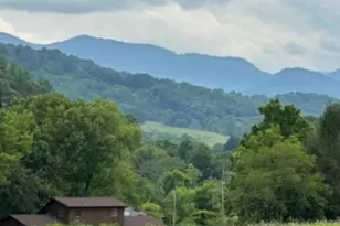 132 Hurd Rd, Canton, NC 28716 - Photo 2