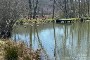 132 Hurd Rd, Canton, NC 28716 - Photo 10