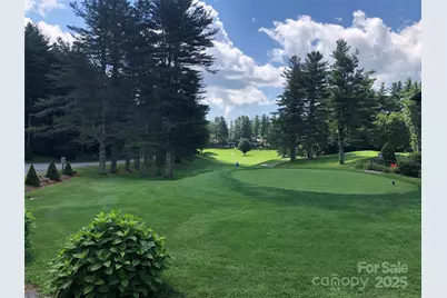 163 Black Pine Road, Newland, NC 28657 - Photo 48