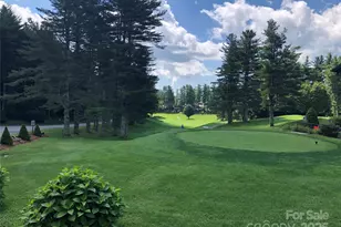 163 Black Pine Rd, Newland, NC 28657 - Photo 48