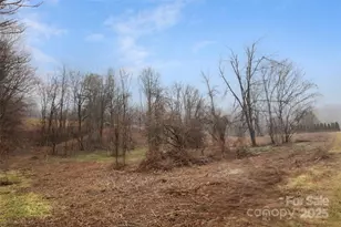 255 & 257 Crescent St, Saluda, NC 28773 - Photo 32